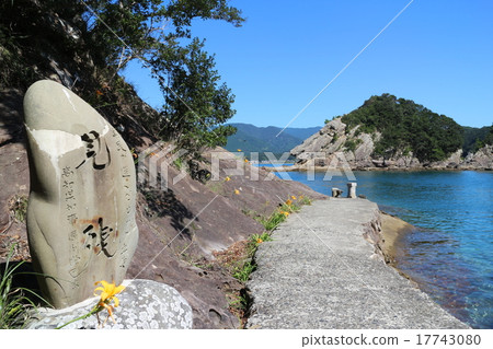 The surreptitious coast The surreptitious coast 17743080