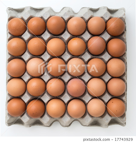eggs in carton package eggs in carton package 17743929