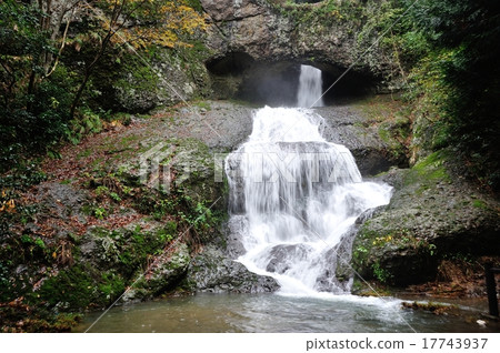 Oketaki 17743937