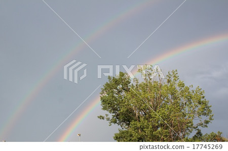 雙彩虹 雙彩虹 17745269