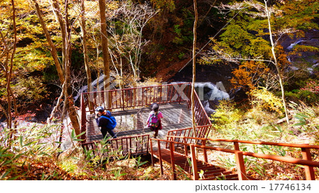 秋天的樹葉 秋天的樹葉 17746134