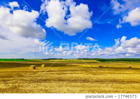 Yellow Round Straw Bales on Stubble Field 17746573