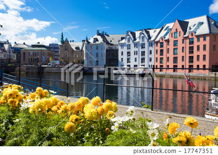 flowers of Alesund flowers of Alesund 17747351