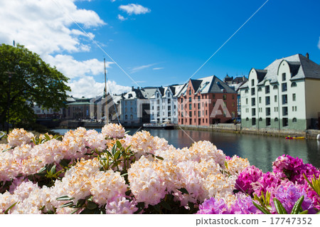 flowers of Alesund flowers of Alesund 17747352