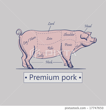 Vector cuts of pork 17747650