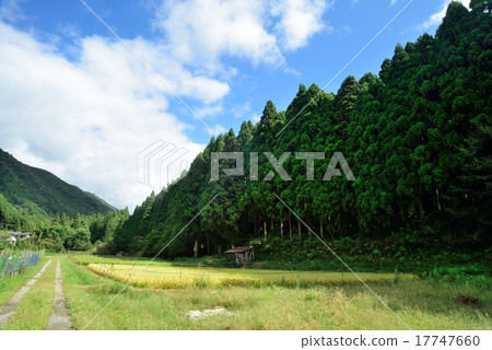 Raku Kita Ohara在初秋 17747660