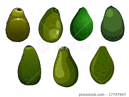 Dark green isolated avocado fruits Dark green isolated avocado fruits 17747947