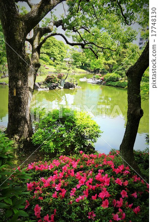 安田花園內（衷心的池塘） 17748130