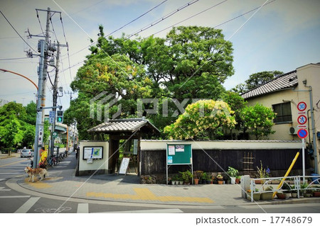 老安田花園 老安田花園 17748679