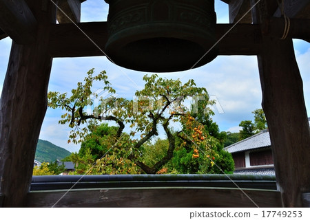 Bell tower and persimmon tree 17749253