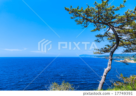 Cliffs of Noto Peninsula Yase 17749391