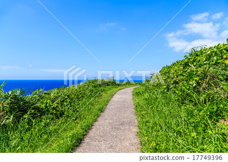 Cliffs of Noto Peninsula Yase 17749396
