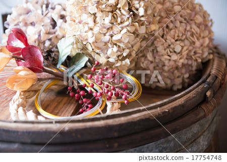 涼爽的干花 17754748