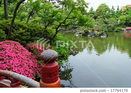 在舊的安田花園 在舊的安田花園 17764170