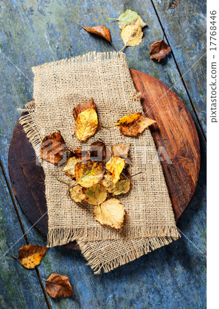 Autumn concept with leaves Autumn concept with leaves 17768446