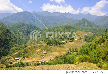 Mountain scene in Sapa, Vietnam 17771770