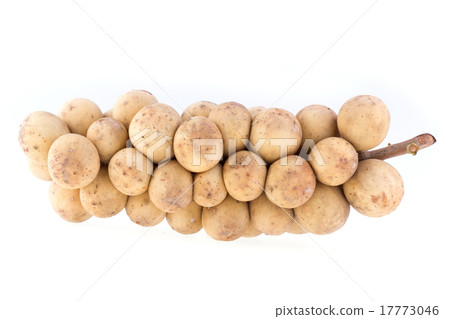 longkong tropical fruit on white background longkong tropical fruit on white background 17773046