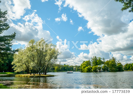 Beautiful russian landscape with willows Beautiful russian landscape with willows 17773839