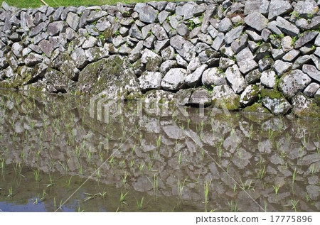 島根大谷的梯田風景 島根大谷的梯田風景 17775896
