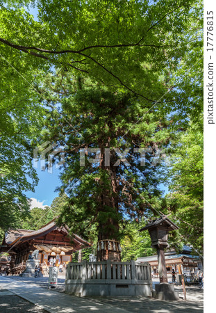 Suwa Grand Shrine Akimiya 17776815