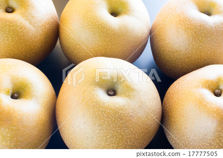 梨肥6個水平 17777505