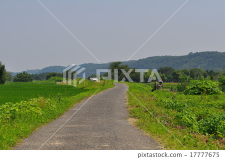 Akiruno市農場道路照片 Akiruno市農場道路照片 17777675