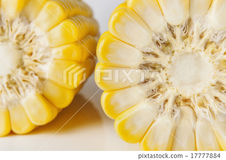 corn on white background 17777884