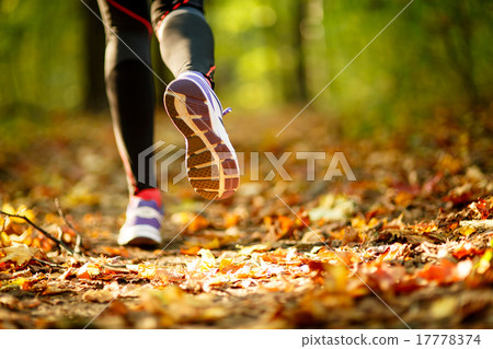 Woman exercise, shoes closeup Woman exercise, shoes closeup 17778374