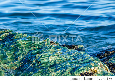 Closeup view on stone and sea Closeup view on stone and sea 17780166