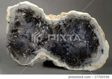 Merlinite - Dendritic Opal Merlinite - Dendritic Opal 17780598