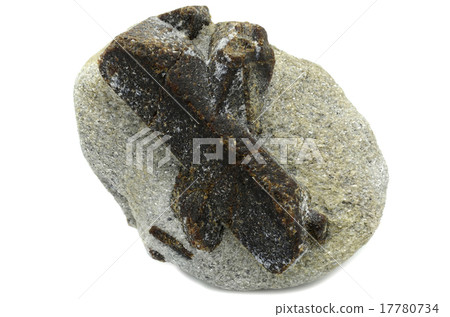 Staurolite - Fairy Cross 17780734