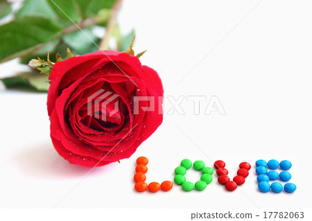 flower flower 17782063