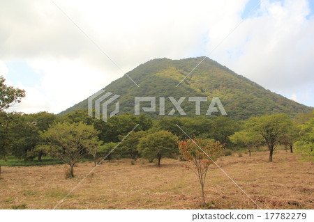Haruna Fuji (Haruna) 17782279