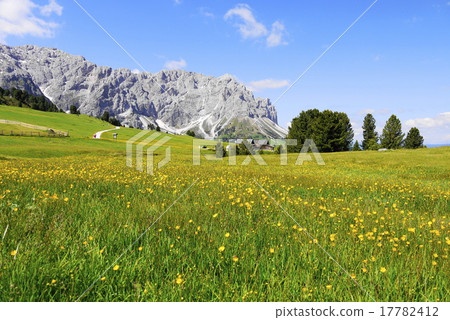 Odre di eores tullen 17782412