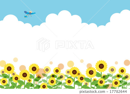 在向日葵旁邊的水平 17782644