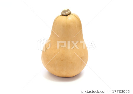 Butter nuts Butter nuts 17783065