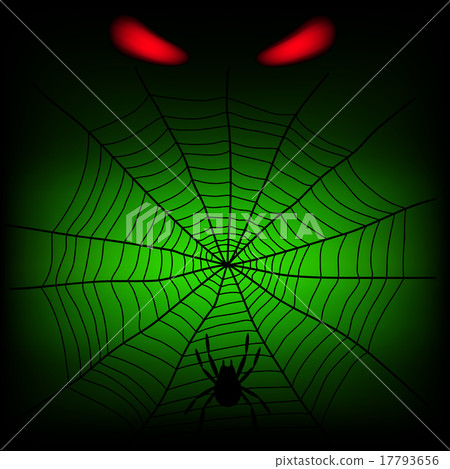 spider web spider web 17793656