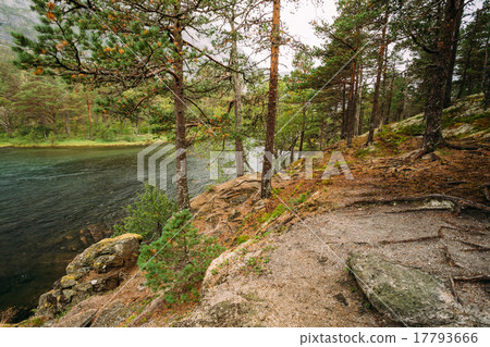 Norwegian nature in Husedalen - Valley of Norwegian nature in Husedalen - Valley of 17793666