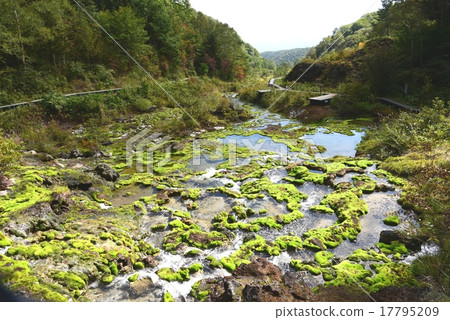 Gumma Prefecture·Chad Bomigogoke Park 17795209