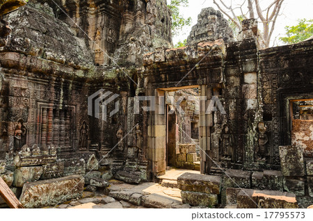 Ta Prohm Ta Prohm 17795573