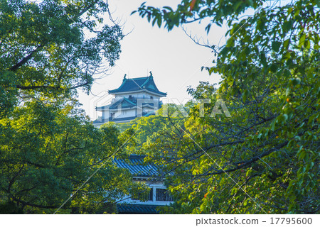 Okaguchi門和和歌山城堡 17795600