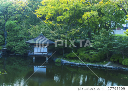 Nishinomaru garden Autumn leaves garden 17795609