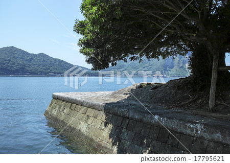 Triangle West Port 17795621