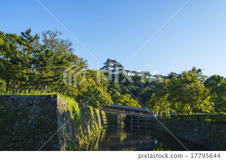 Wakayama Castle and Mobashi Hall 17795644