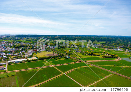 在6月變成綠色的稻田，在伊豆市的伊蘇米河周圍的鳥瞰圖 17796496