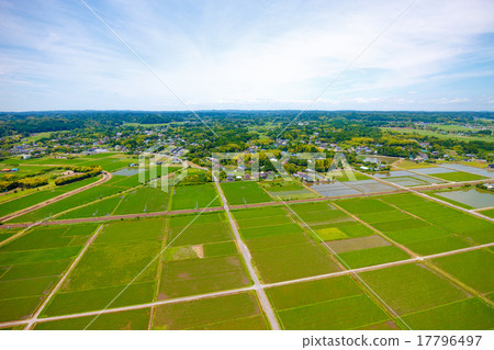 在6月變成綠色的稻田，在伊豆市的伊蘇米河周圍的鳥瞰圖 17796497