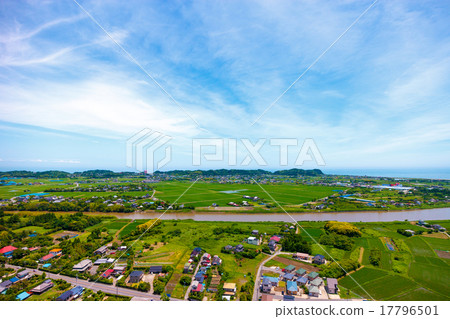 在6月變成綠色的稻田，在伊豆市的伊蘇米河周圍的鳥瞰圖 17796501
