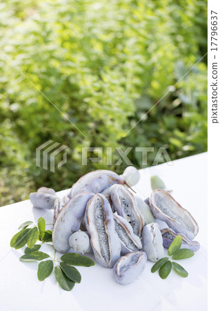 明美 17796637
