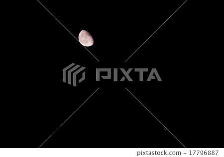 Moon Moon Moon Moon Moon Moon 17796887