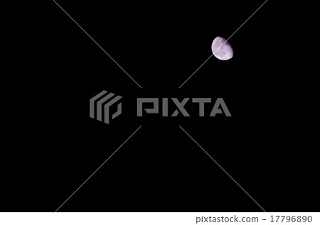 月亮月亮 月亮月亮 17796890